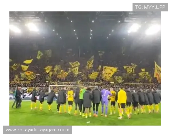 《德甲各球队球迷活动与现场视频回放精彩片段汇总》 《德甲各球队球迷活动与现场视频回放精彩片段汇总》