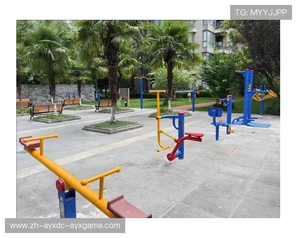 小区安装健身器材的实际作用与对居民健康的促进影响 小区安装健身器材的实际作用与对居民健康的促进影响