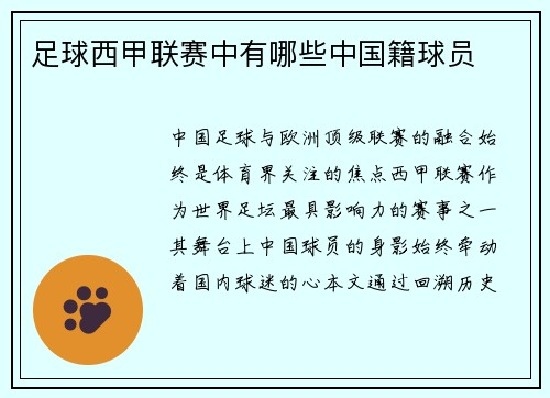 足球西甲联赛中有哪些中国籍球员